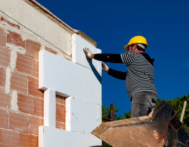 Best Cellulose Insulation  in Mission Hills, KS