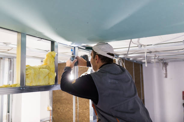 Best Insulation Inspection Services  in Mission Hills, KS