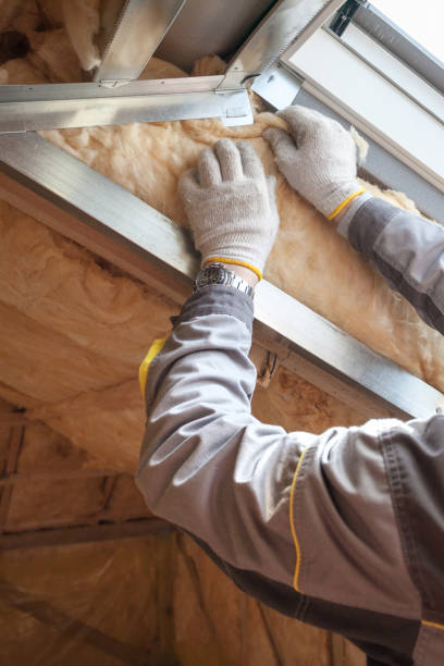 Best Spray Foam Insulation  in Mission Hills, KS