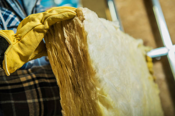 Best Spray Foam Insulation  in Mission Hills, KS