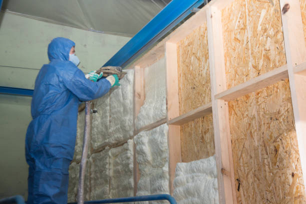 Best Home Insulation Services  in Mission Hills, KS