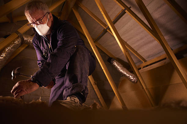 Best Attic Insulation Installation  in Mission Hills, KS